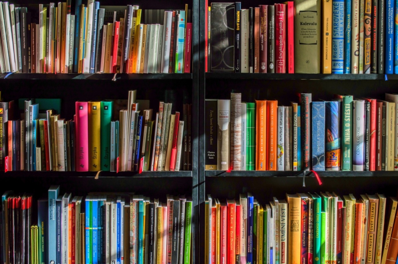 boutique-BEUIL-min_books_bookstore_book_reading_shop_writer_sale_books_read-822866